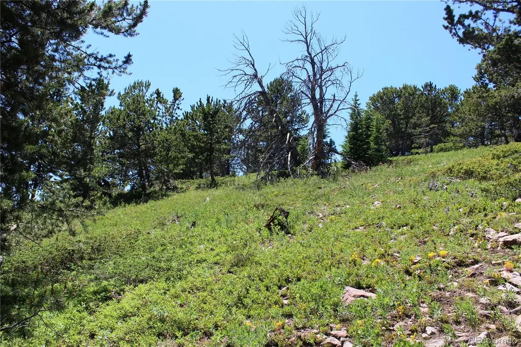 1595 Missouri Gulch Road Black Hawk CO 80422