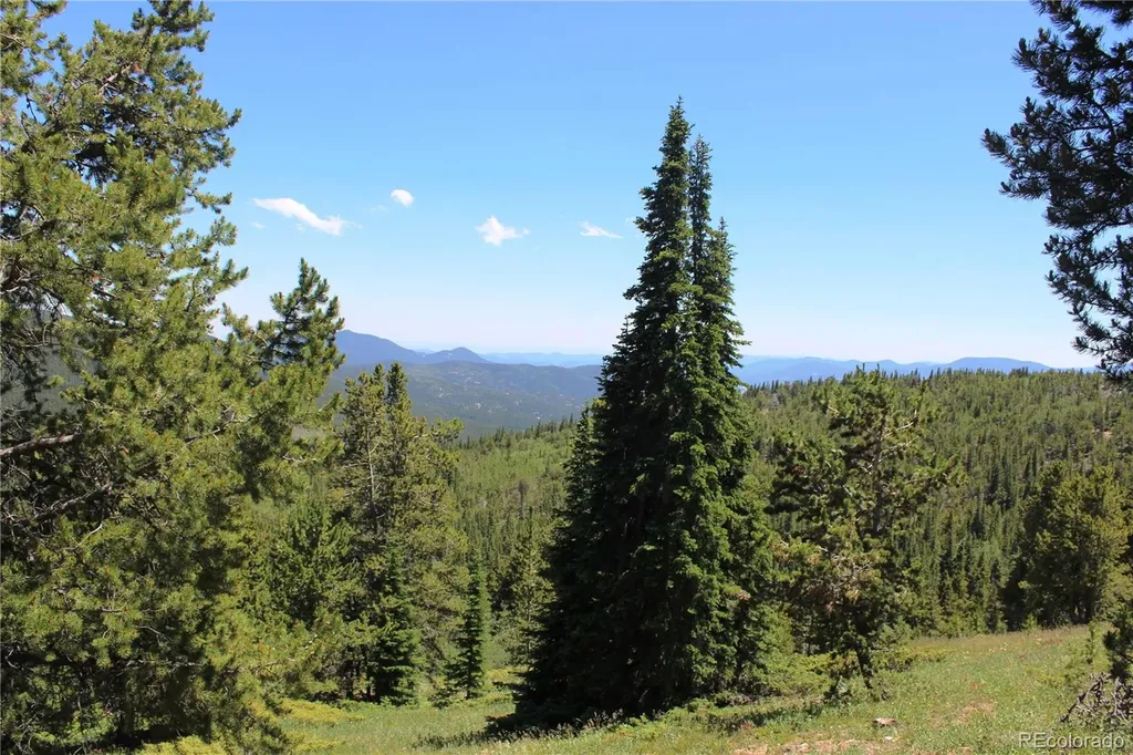 1595 Missouri Gulch Road Black Hawk CO 80422
