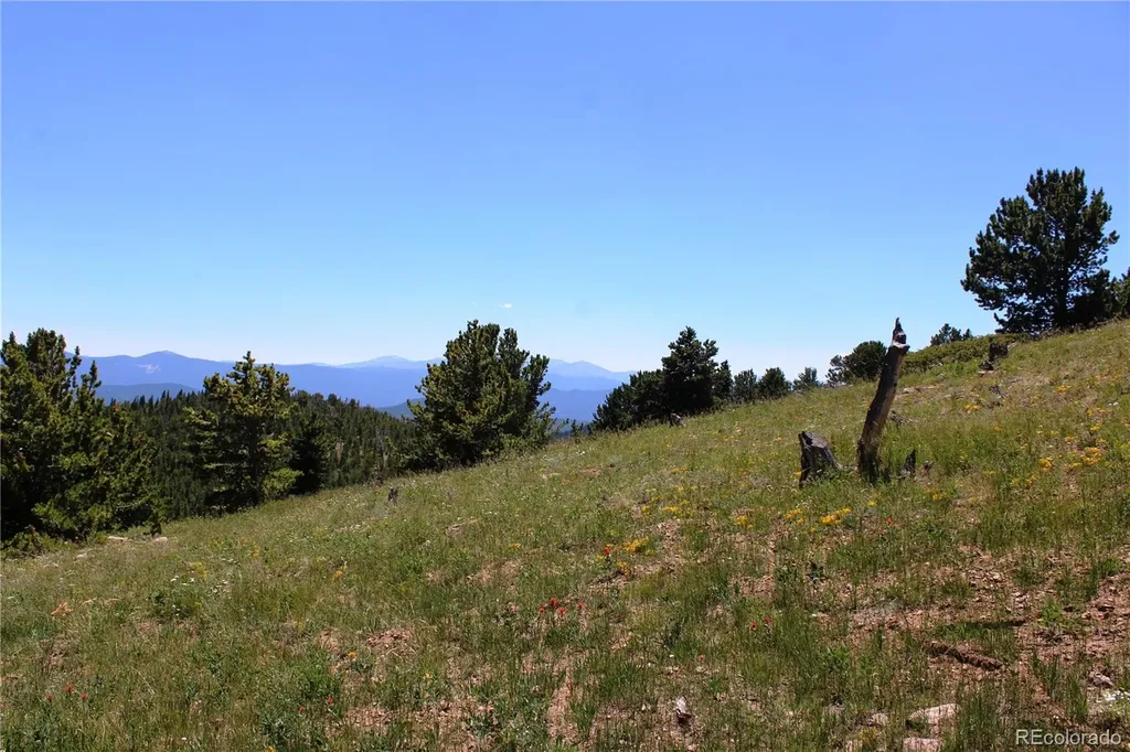 1595 Missouri Gulch Road Black Hawk CO 80422