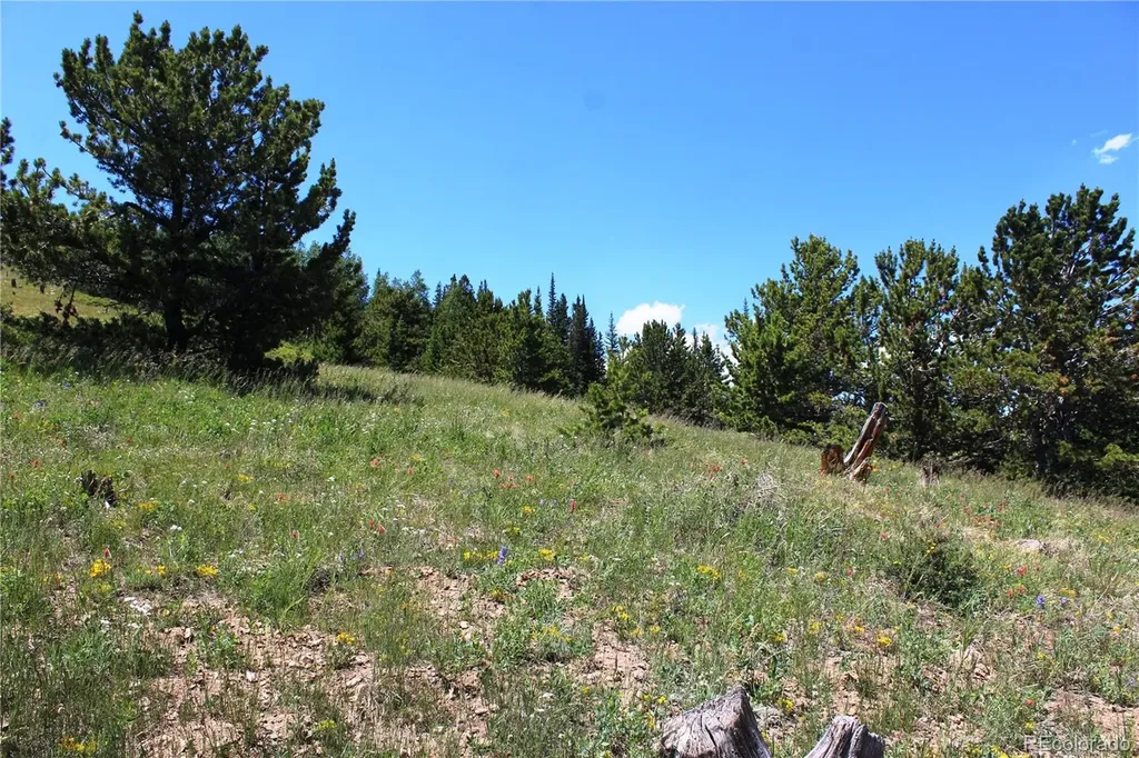 1595 Missouri Gulch Road Black Hawk CO 80422