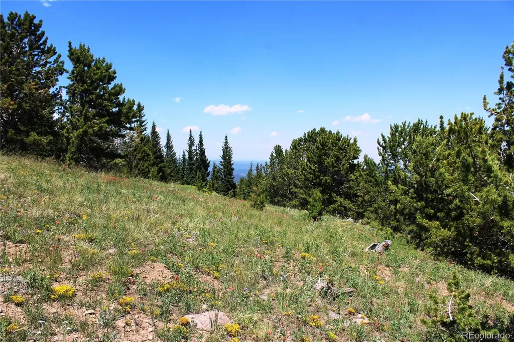 1595 Missouri Gulch Road Black Hawk CO 80422