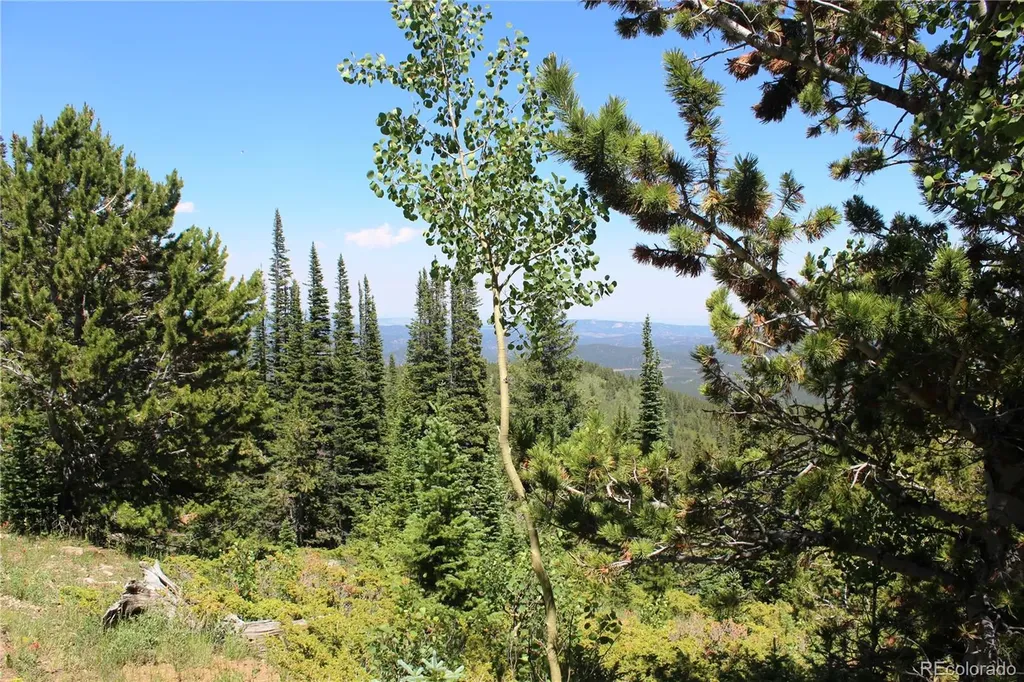 1595 Missouri Gulch Road Black Hawk CO 80422