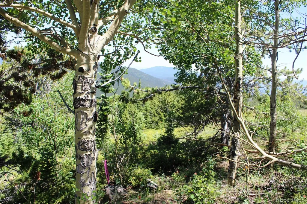 1595 Missouri Gulch Road Black Hawk CO 80422