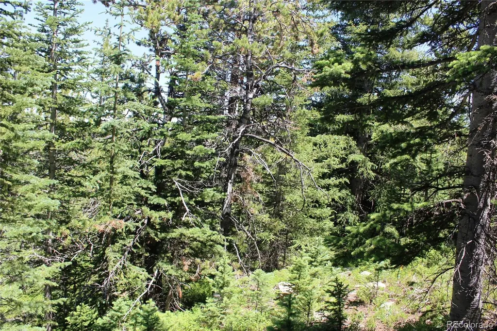 1595 Missouri Gulch Road Black Hawk CO 80422
