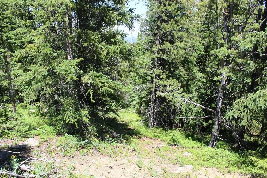 1595 Missouri Gulch Road Black Hawk CO 80422