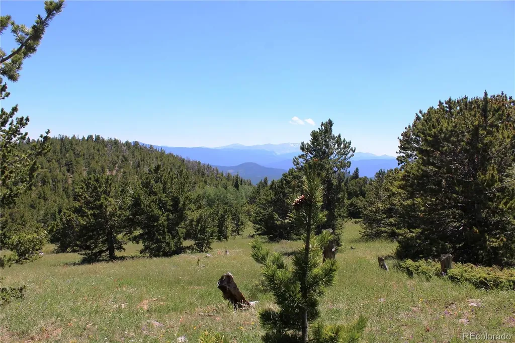 1595 Missouri Gulch Road Black Hawk CO 80422