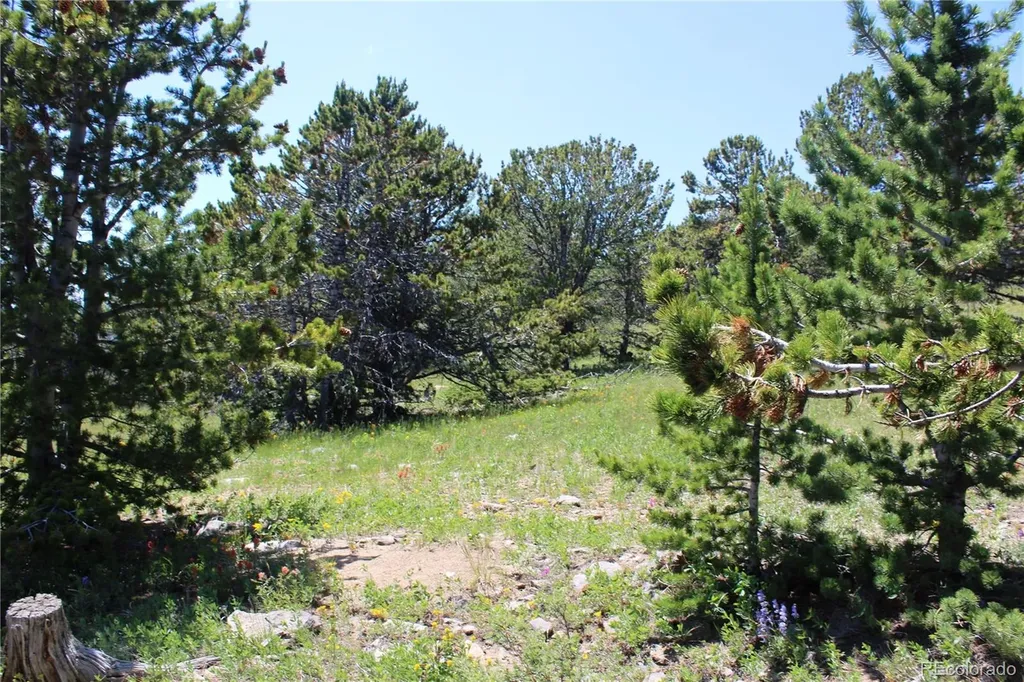 1595 Missouri Gulch Road Black Hawk CO 80422