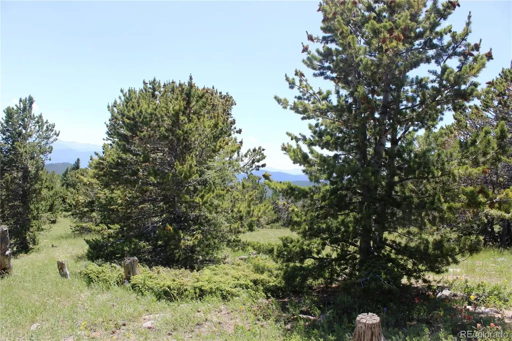 1595 Missouri Gulch Road Black Hawk CO 80422