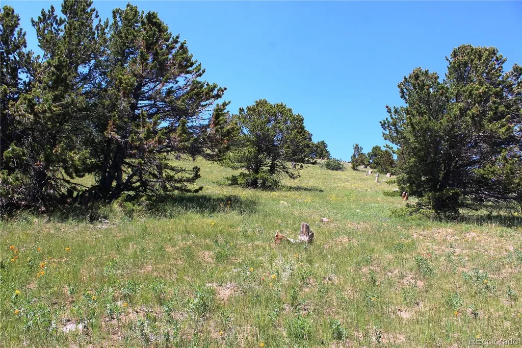 1595 Missouri Gulch Road Black Hawk CO 80422