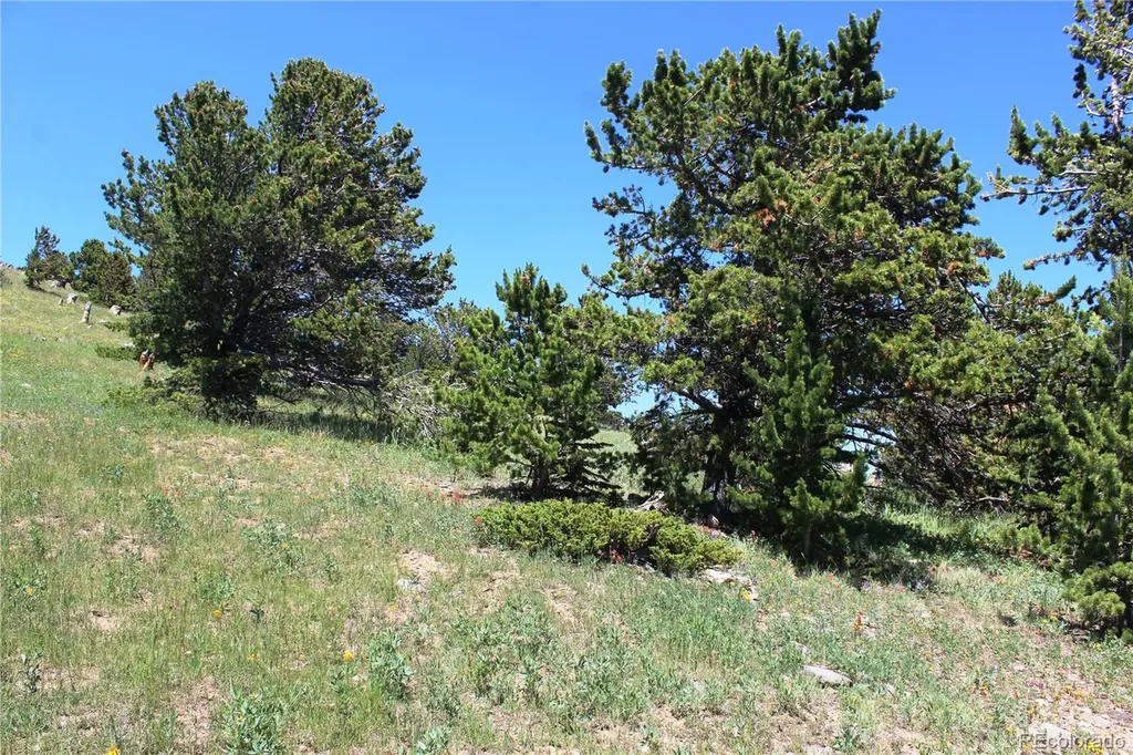 1595 Missouri Gulch Road Black Hawk CO 80422