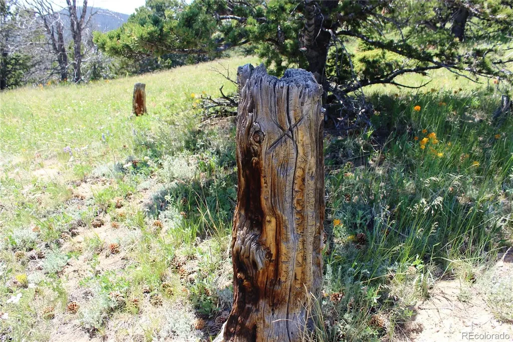 1595 Missouri Gulch Road Black Hawk CO 80422