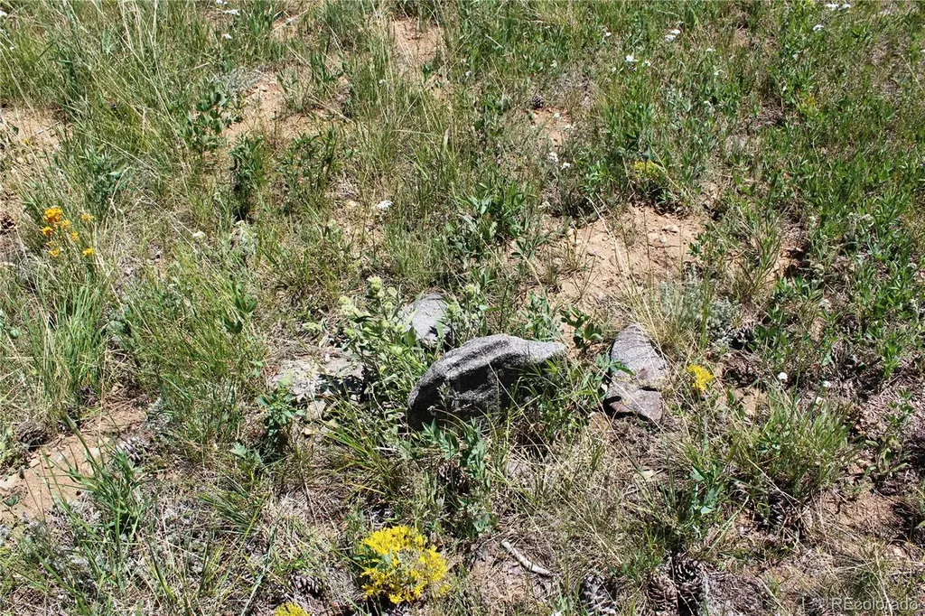 1595 Missouri Gulch Road Black Hawk CO 80422