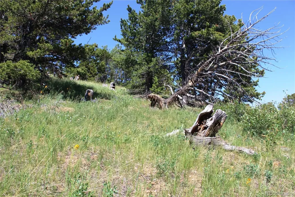 1595 Missouri Gulch Road Black Hawk CO 80422