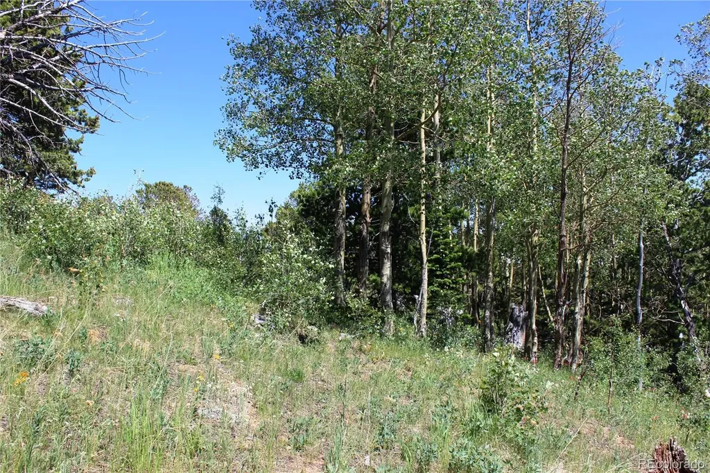1595 Missouri Gulch Road Black Hawk CO 80422