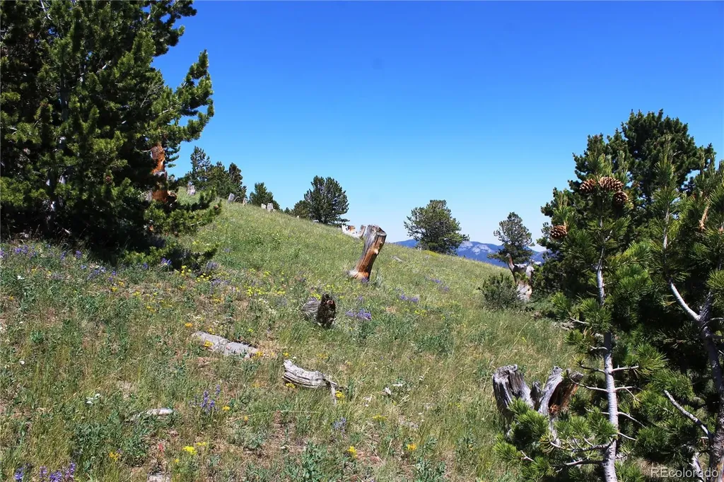 1595 Missouri Gulch Road Black Hawk CO 80422