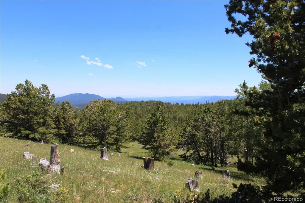 1595 Missouri Gulch Road Black Hawk CO 80422