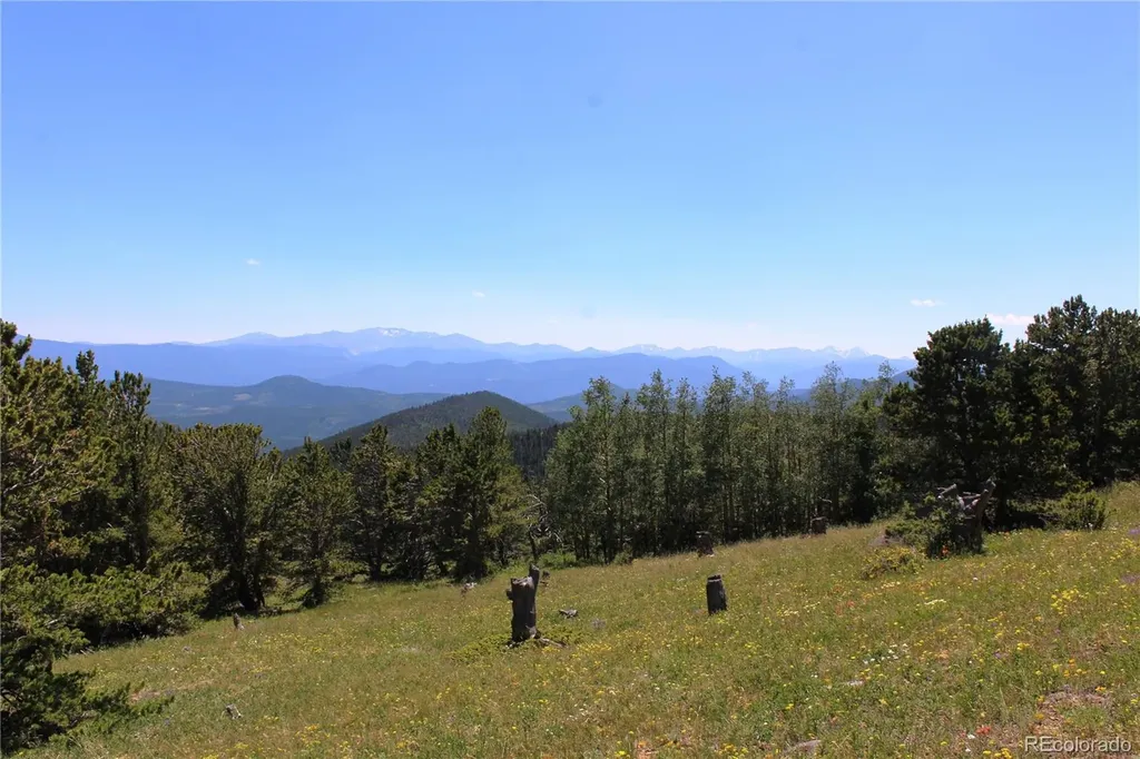 1595 Missouri Gulch Road Black Hawk CO 80422