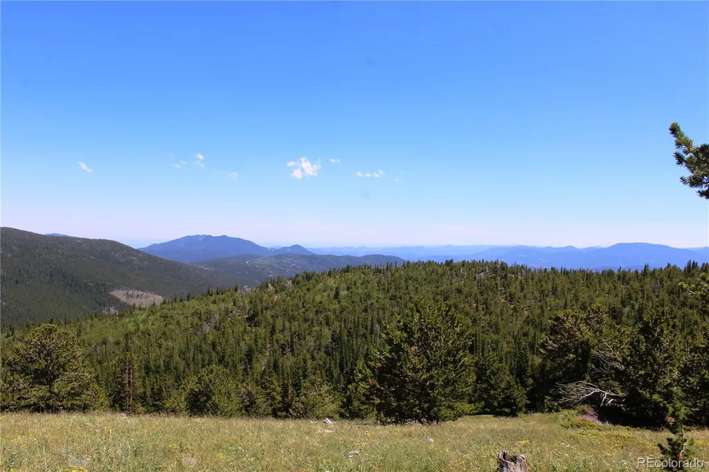 1595 Missouri Gulch Road Black Hawk CO 80422