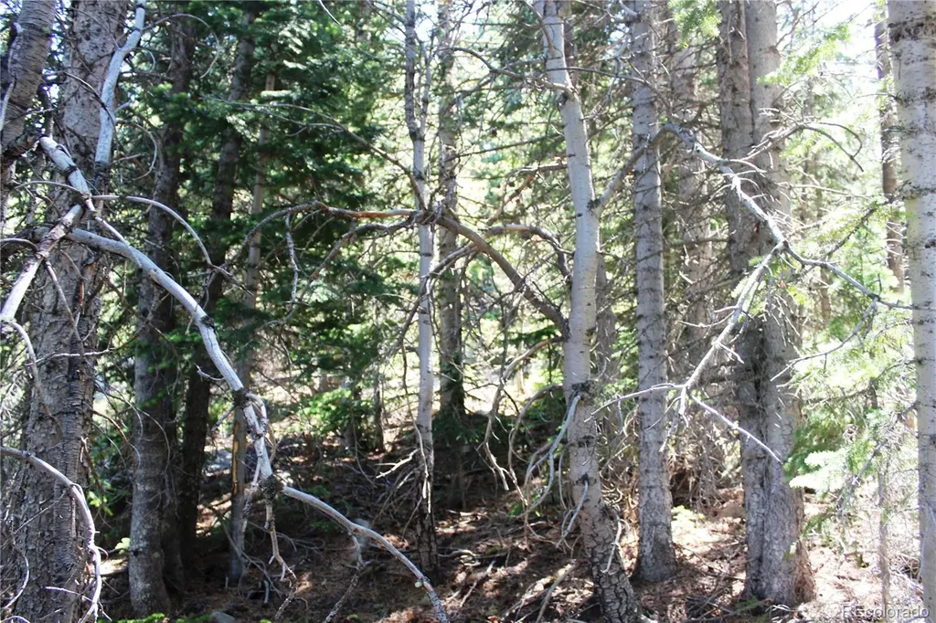1595 Missouri Gulch Road Black Hawk CO 80422