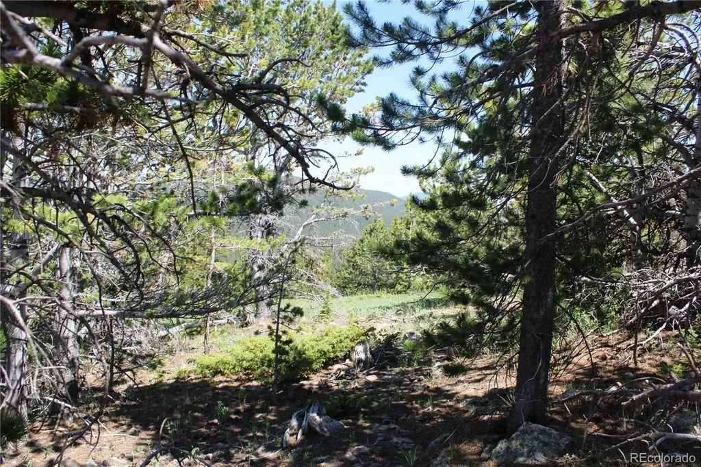 1595 Missouri Gulch Road Black Hawk CO 80422