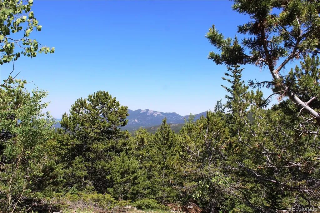 1595 Missouri Gulch Road Black Hawk CO 80422