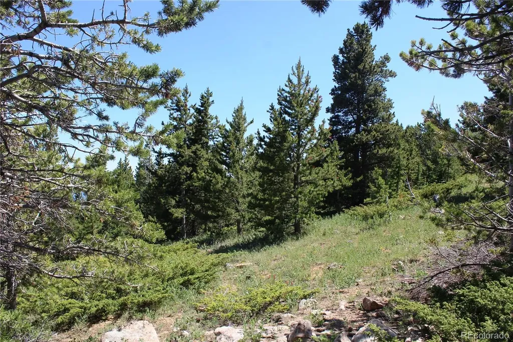 1595 Missouri Gulch Road Black Hawk CO 80422