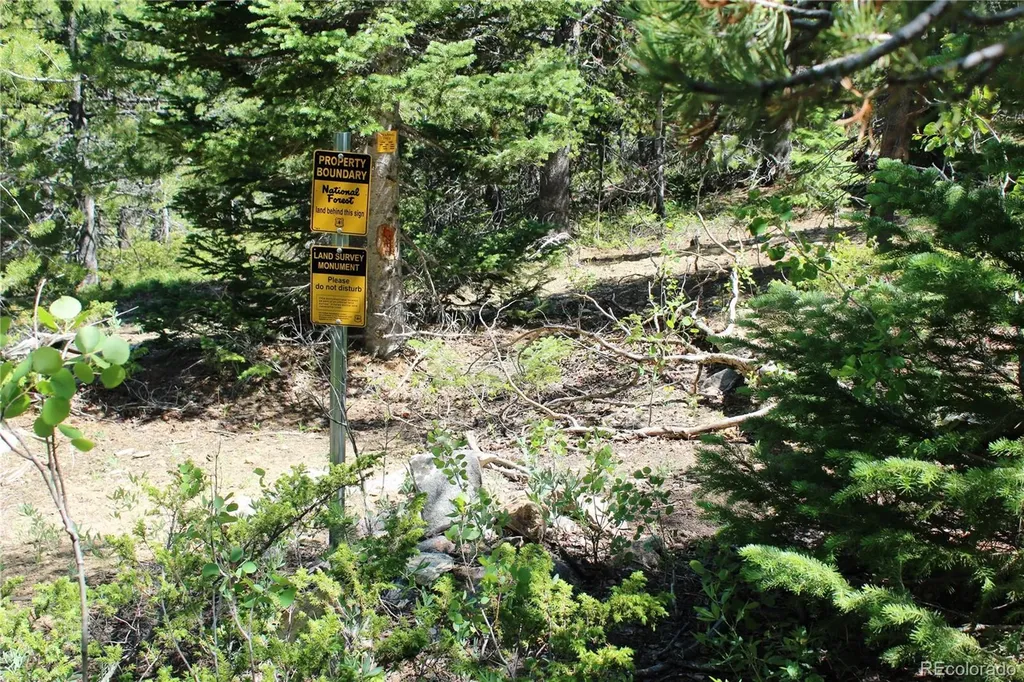 1595 Missouri Gulch Road Black Hawk CO 80422