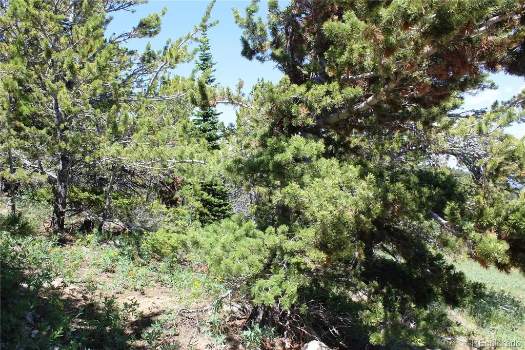 1595 Missouri Gulch Road Black Hawk CO 80422