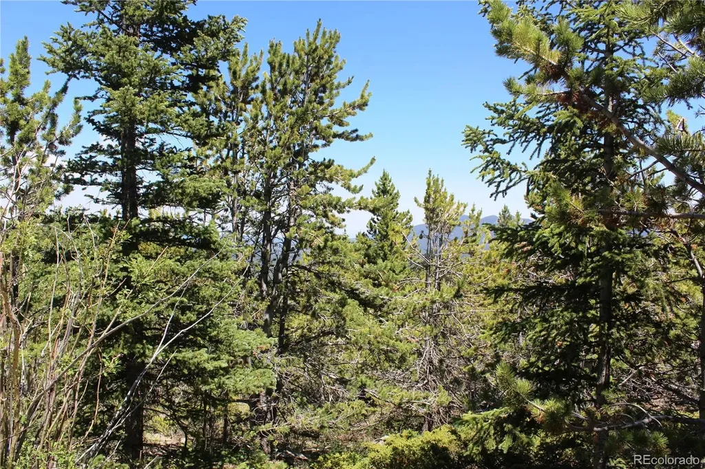 1595 Missouri Gulch Road Black Hawk CO 80422