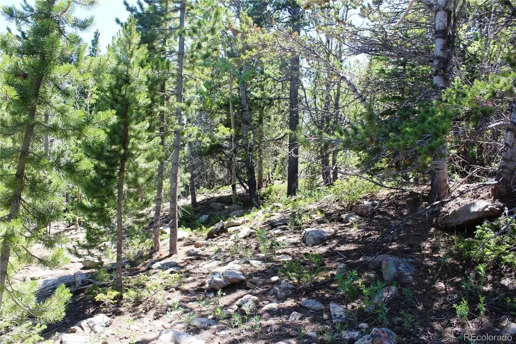 1595 Missouri Gulch Road Black Hawk CO 80422