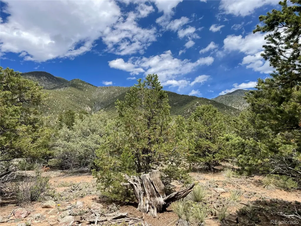 4286 Fallen Tree Crestone CO 81131