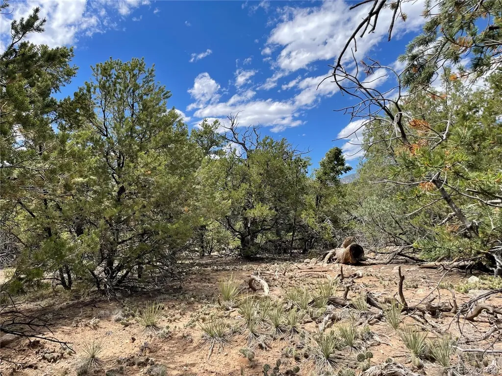 4286 Fallen Tree Crestone CO 81131