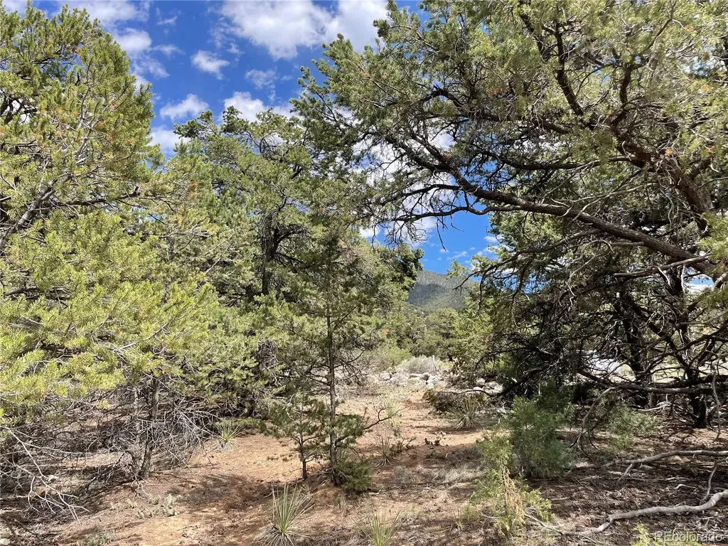 4286 Fallen Tree Crestone CO 81131