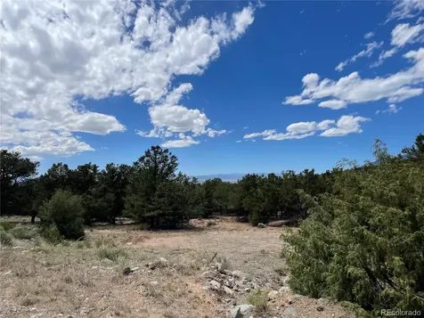 4286 Fallen Tree Crestone CO 81131