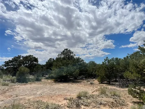4286 Fallen Tree Crestone CO 81131