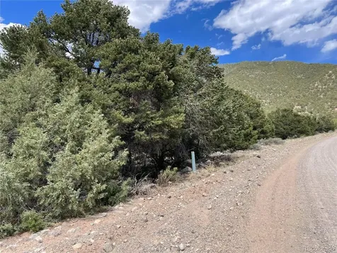 4286 Fallen Tree Crestone CO 81131