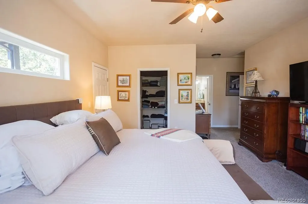 45 Valley Circle Divide CO 80814