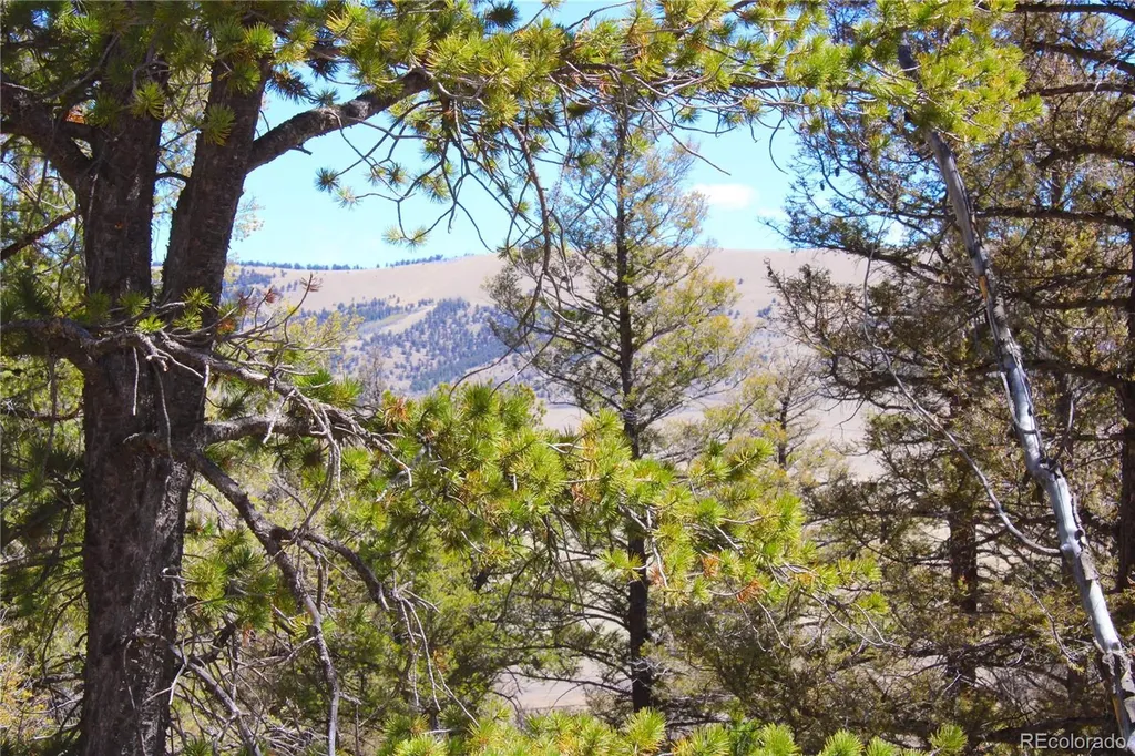 2882 Middle Fork Vista Fairplay CO 80440