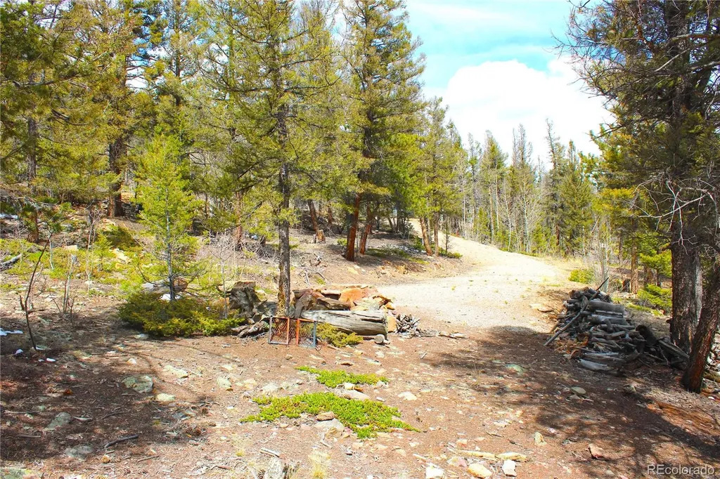 2882 Middle Fork Vista Fairplay CO 80440