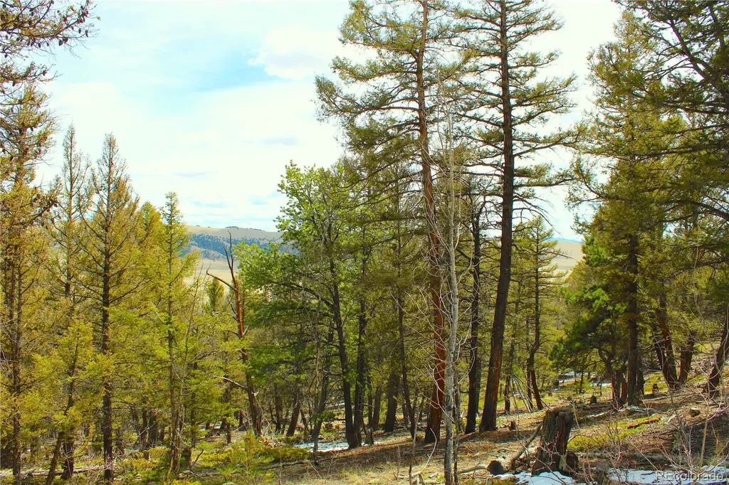 2882 Middle Fork Vista Fairplay CO 80440