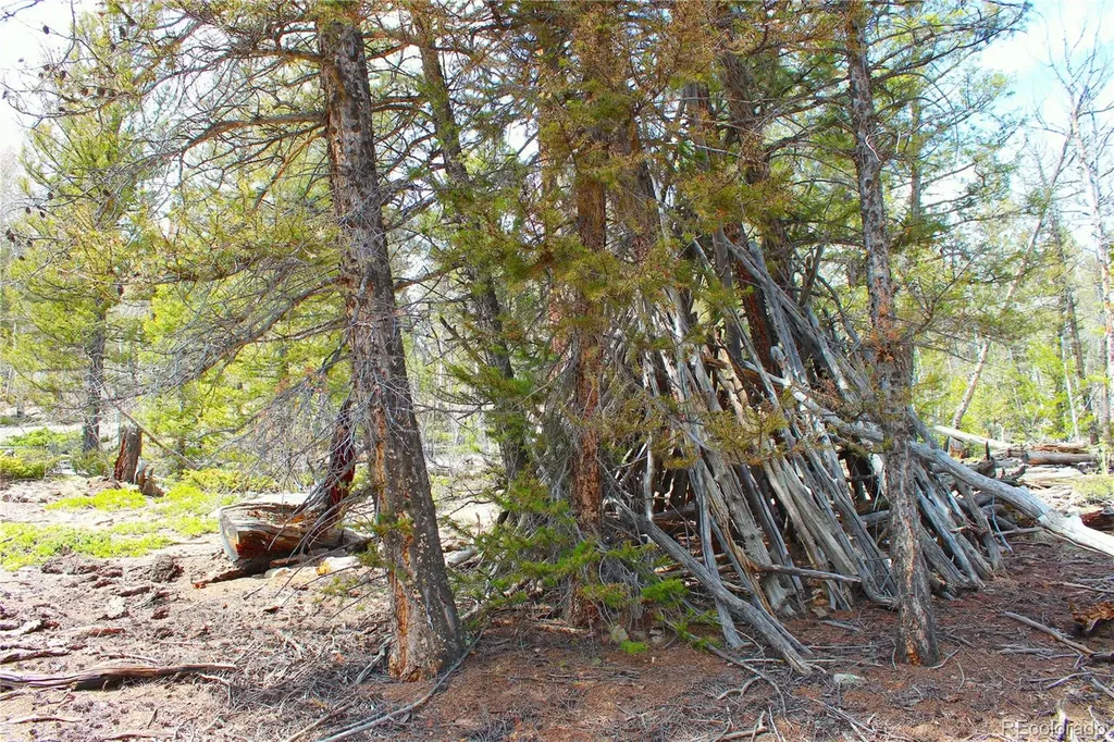 2882 Middle Fork Vista Fairplay CO 80440