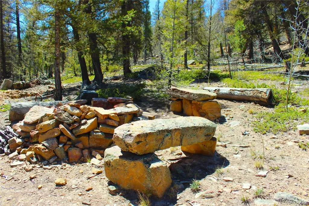 2882 Middle Fork Vista Fairplay CO 80440