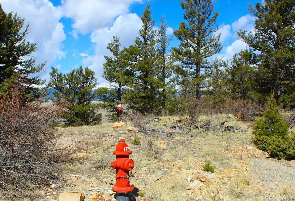 2882 Middle Fork Vista Fairplay CO 80440