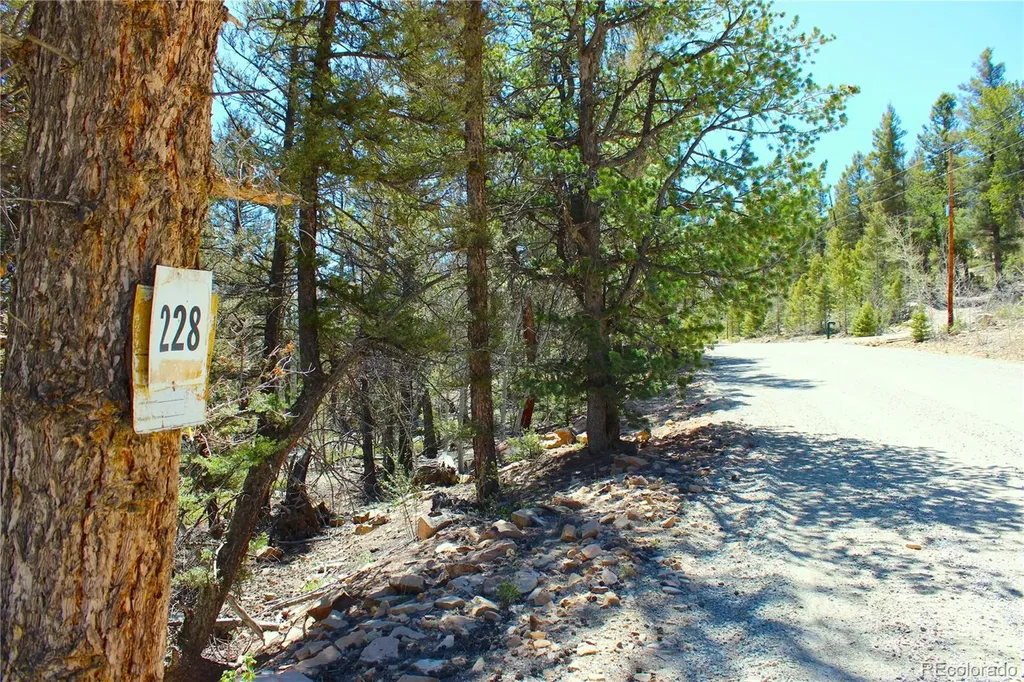 2882 Middle Fork Vista Fairplay CO 80440