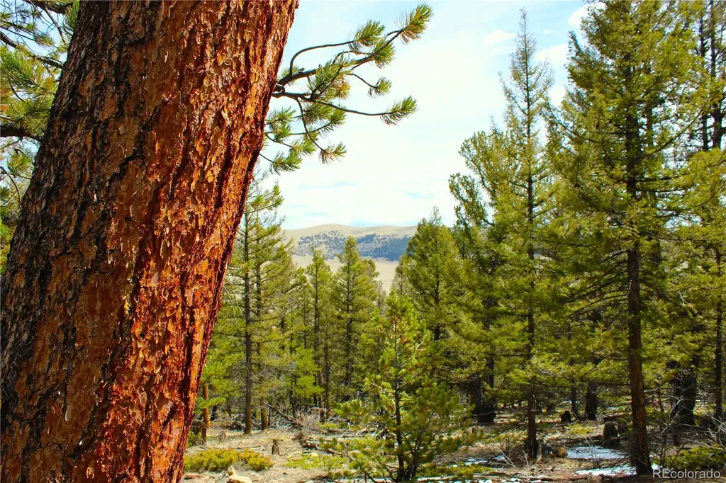 2882 Middle Fork Vista Fairplay CO 80440
