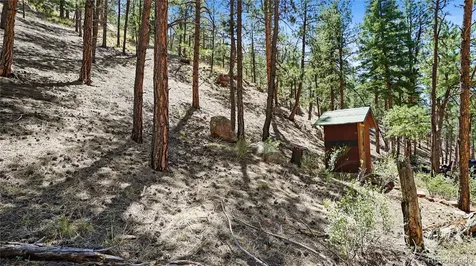 25776 County Road 126 Sedalia CO 80135