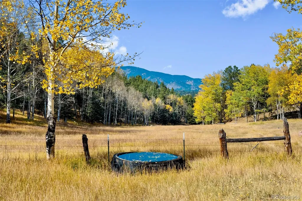 37392 County Road 77 Lake George CO 80827
