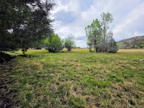 000 County Road 6 Coaldale CO 81222