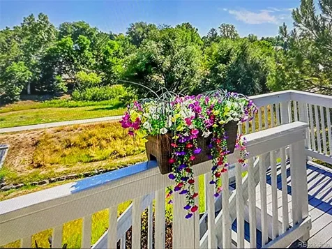 5309 W Hoover Drive Littleton CO 80123