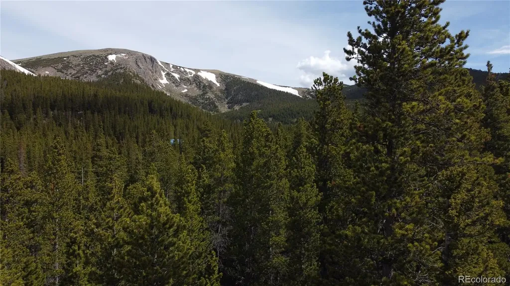 000 Brook Drive Idaho Springs CO 80452